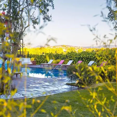 Bloom Otel