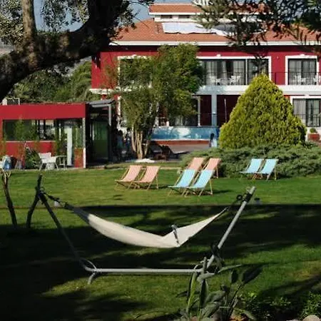 Otel Bloom 4*