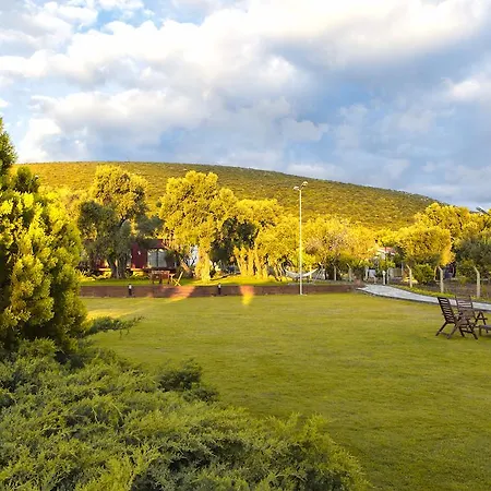 Otel Bloom 4*