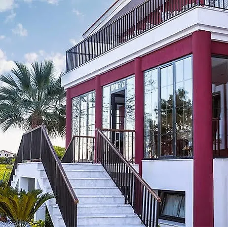 Bloom 酒店 阿拉恰特